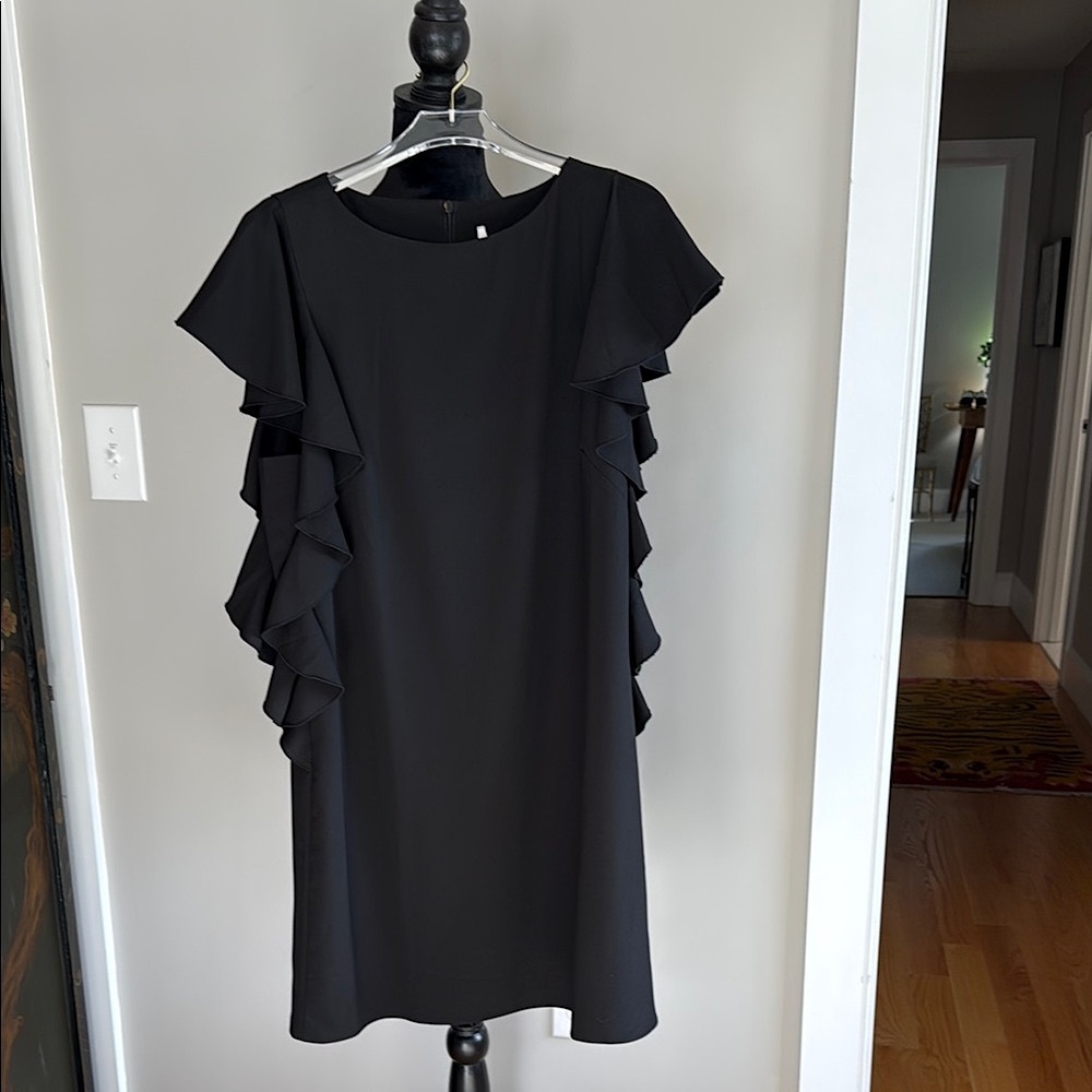 Elegant Black Ruffle Sleeve Dress